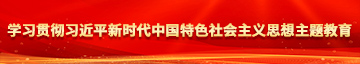 男同调教操逼视频学习贯彻习近平新时代中国特色社会主义思想主题教育